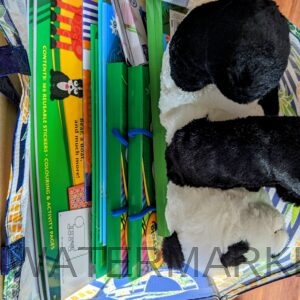 Activity Pack + Soft Toy 3 years +